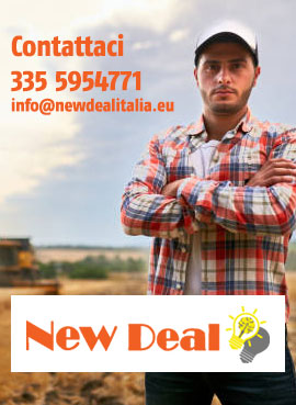 New Deal Srl